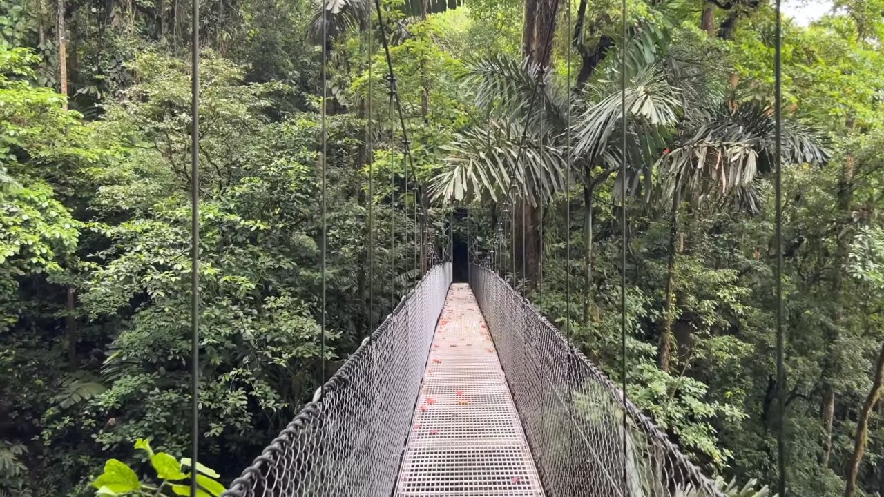 Canopy Walkway