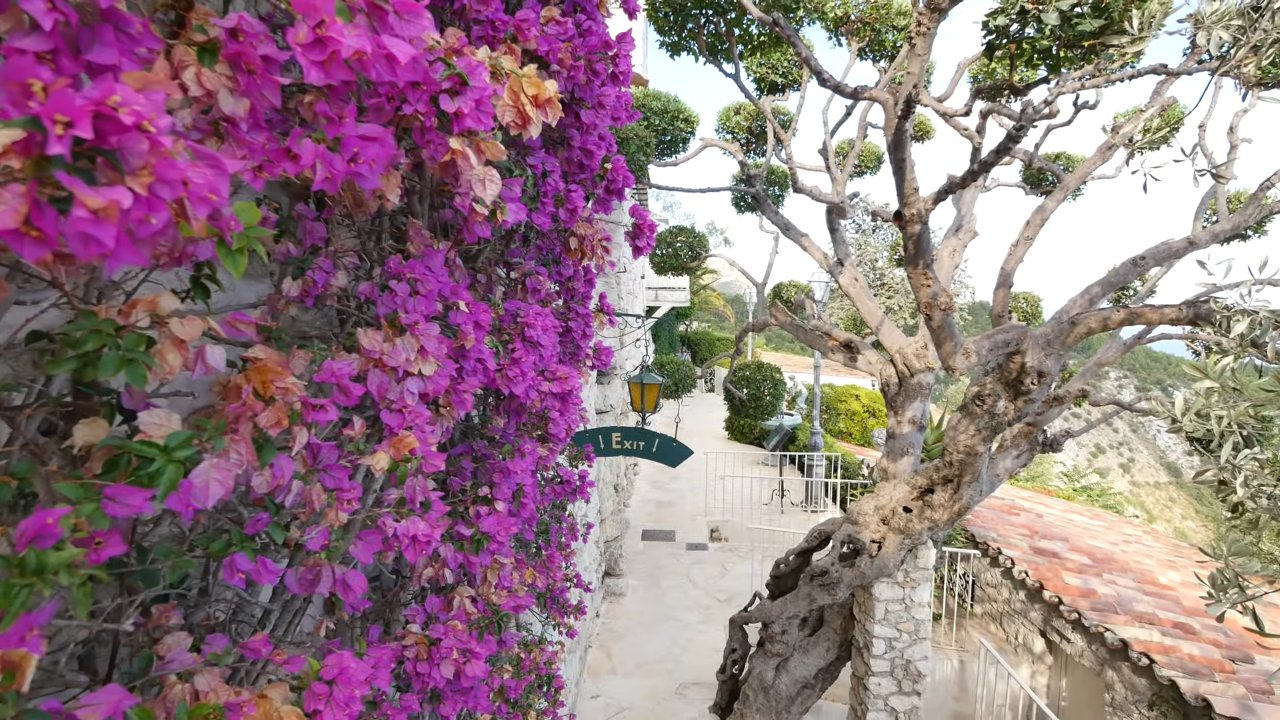 Where ancient stone meets the Caribbean sky